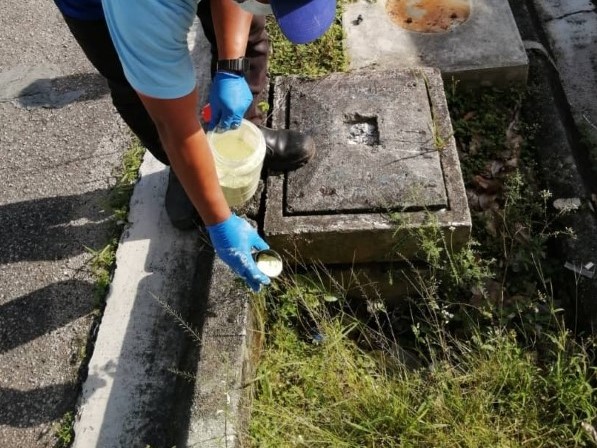 Snake control – using sulfur barrier treatment Johor Bahru (JB) | Snake control – using sulfur barrier treatment Melaka | Pest Control Service Johor Bahru (JB) | Pest Control Service Melaka